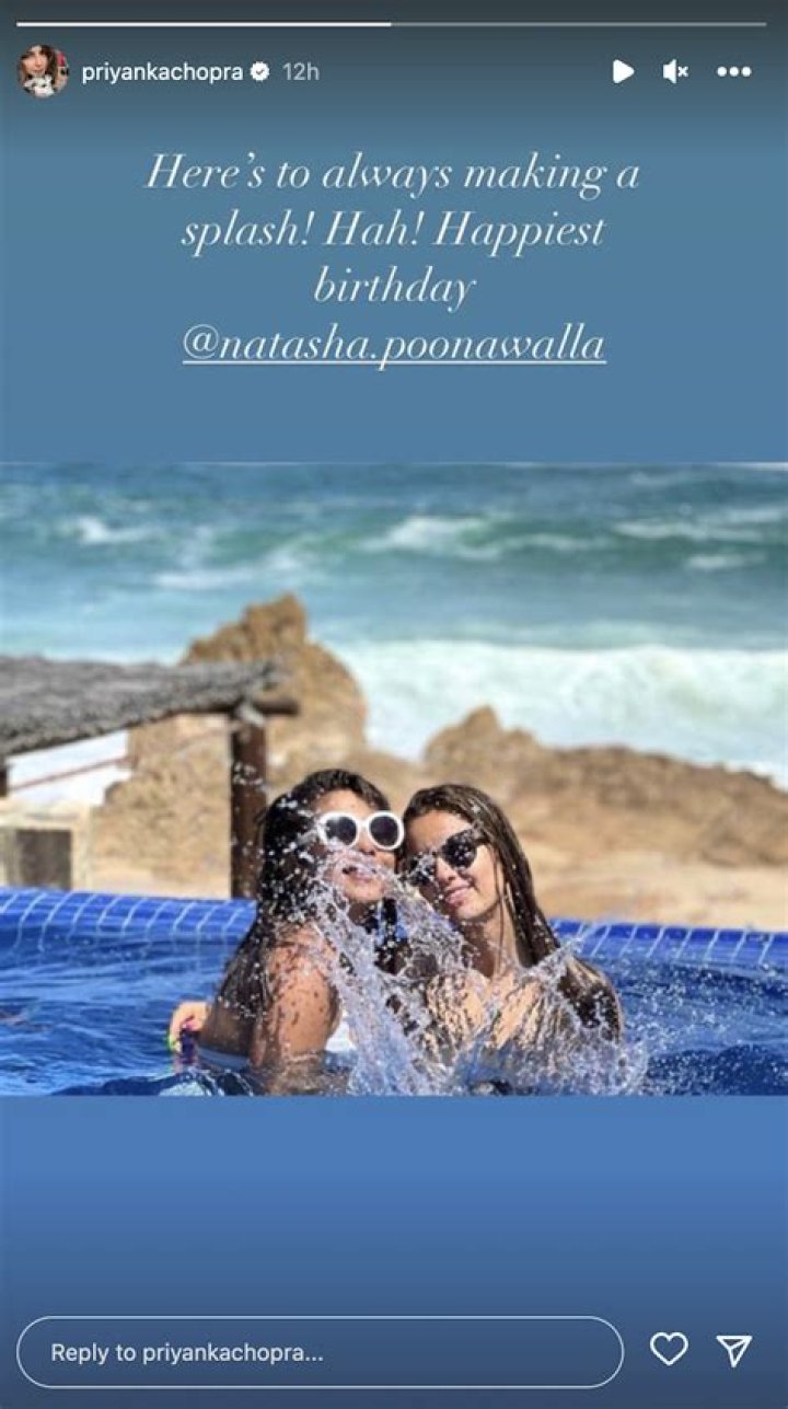 Priyanka Chopra in Bathing Suit is "Making a Splash" — Celebwell