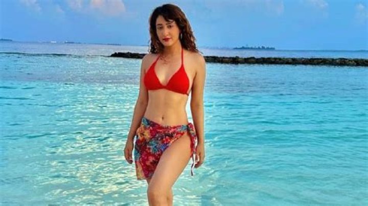 Shivya Pathania in Bathing Suit is "So Hot" — Celebwell