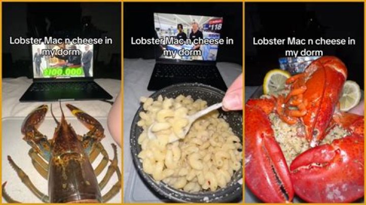 ‘No one talking about him COOKING THE LOBSTER IN BED’: College student puts an ingenious spin on dorm room mac and cheese