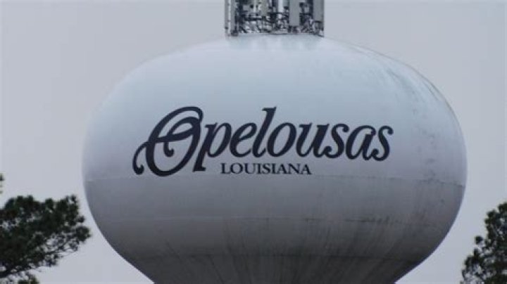 Directory of Physicians (MD/DO) in Opelousas, Louisiana