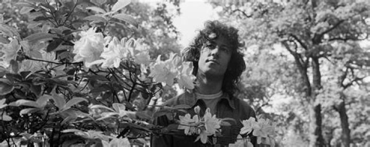 What did Peter Green of Fleetwood Mac died of? When did Peter Green get schizophrenia?
