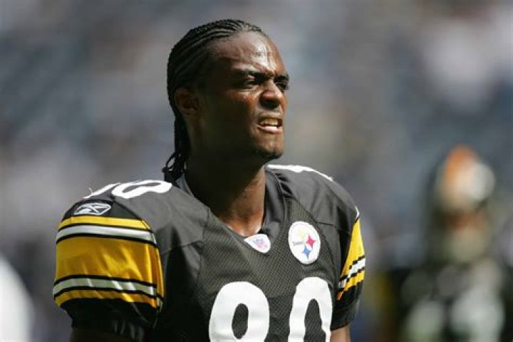 Plaxico Burress Biography - Facts, Childhood, Family Life & Achievements