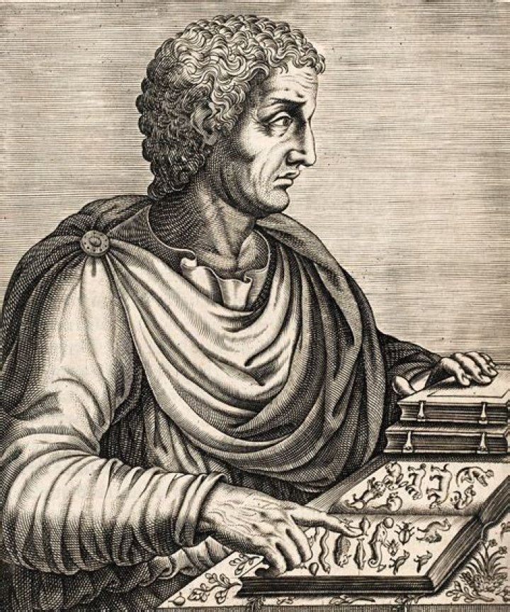 Pliny The Elder Biography - Facts, Childhood, Family Life & Achievements
