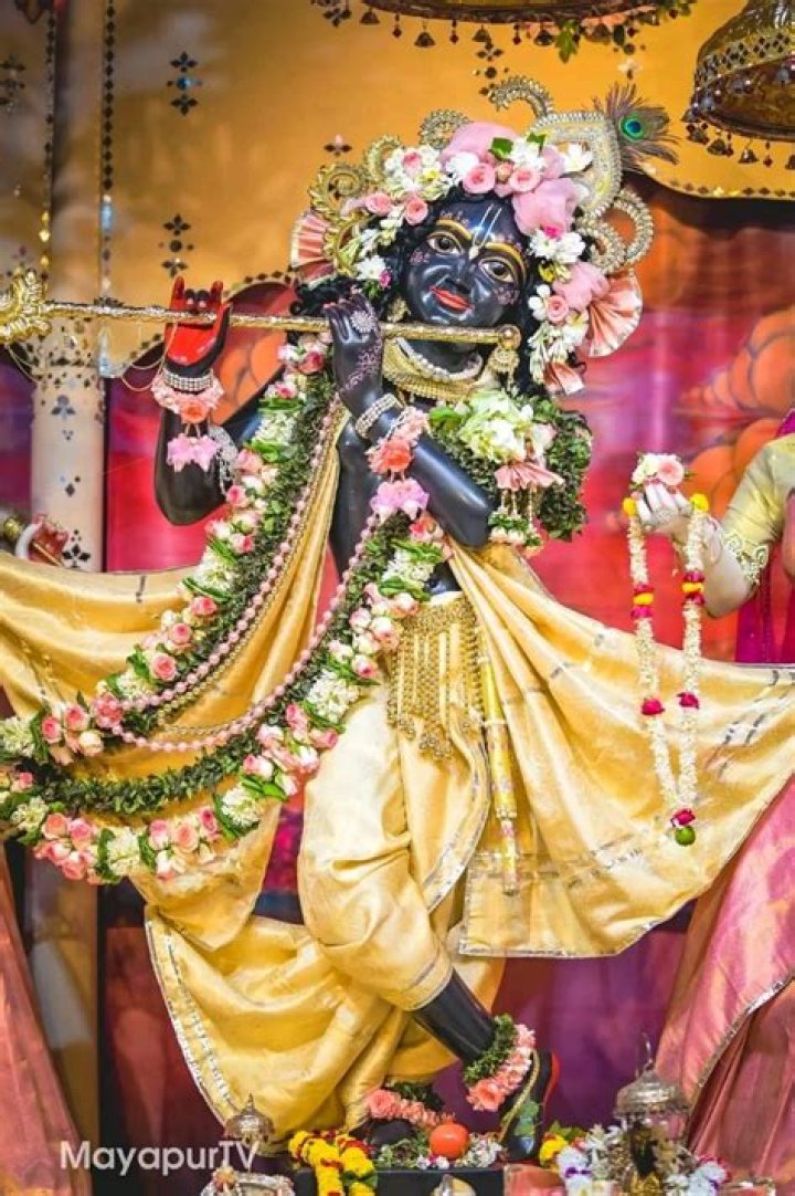 Dr. Radharani Mohanty, MD – Binghamton, NY