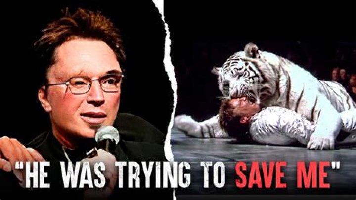 
Rasha Bseis Video Goes Viral On Twitter & Reddit -What Happened To Him After Tiger Attack? 