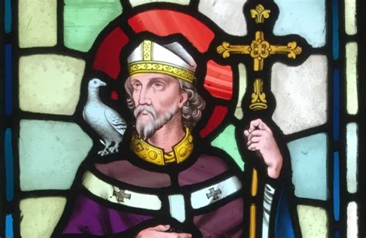 Saint David Biography - Facts, Childhood, Family Life & Achievements