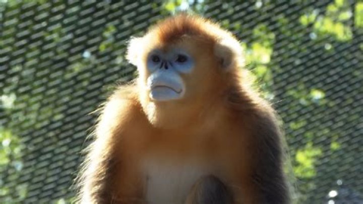 Sara (Anderson) Juers, PA – Dubuque, IA