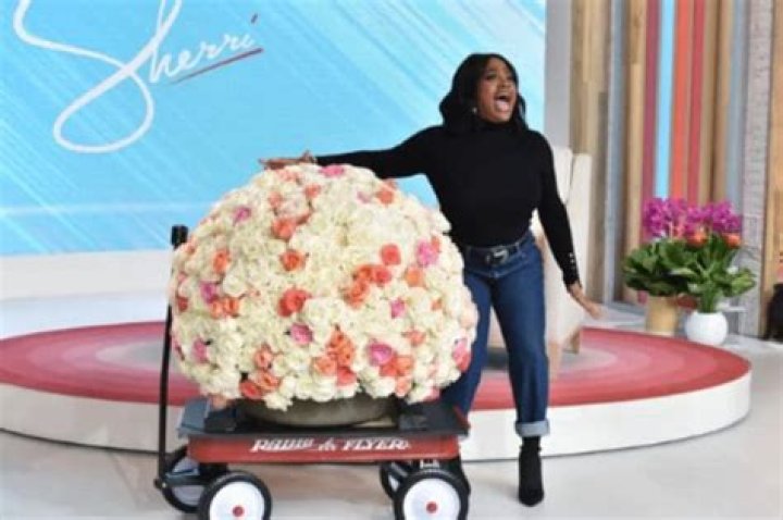 Sherri Shepherd Crushing On Nick Cannon – Says His Photo ‘Made Her Pregnant’