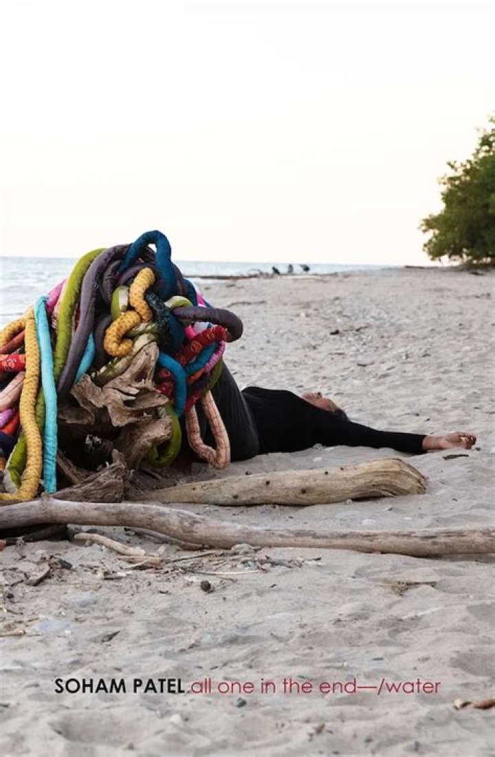 Dr. Soham Patel, MD – Wesley Chapel, FL