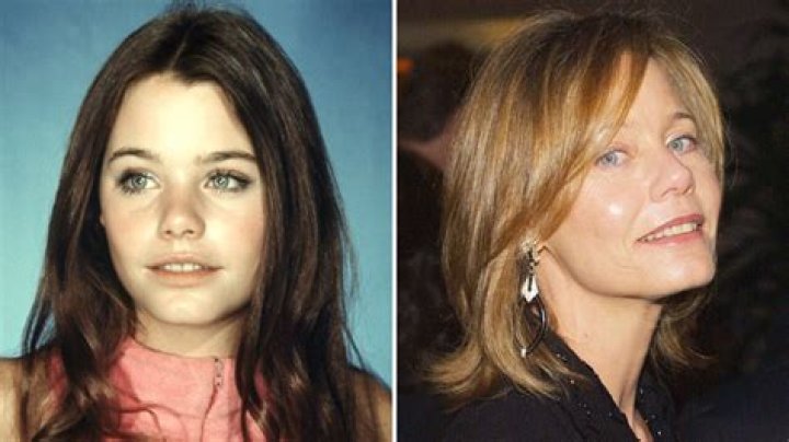 
Susan Dey: The Successful Actress With A Net Worth Of $10 Million 