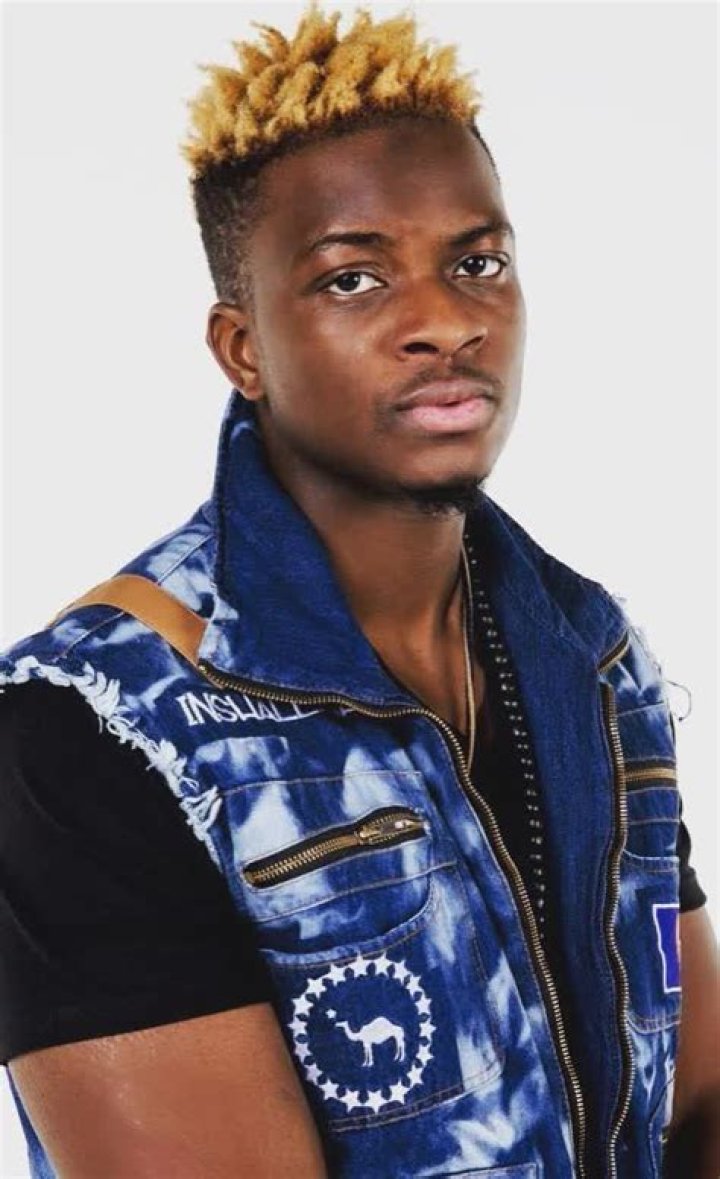 
SwavyTv Height, Weight, Net Worth, Age, Birthday, Wikipedia, Who, Nationality, Biography 