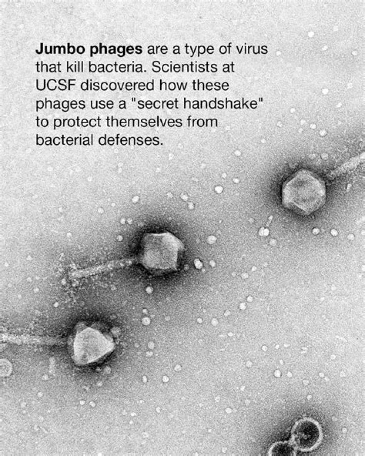 Dr. Thomas Nuckton, MD – San Francisco, CA