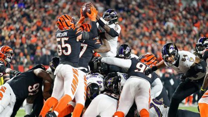
Tyler Huntley and Anthony Brown Are Also Set to Play Against the Bengals 
