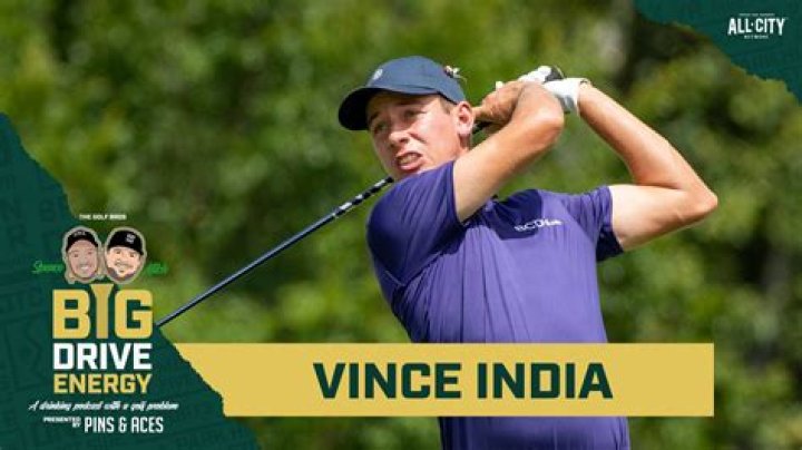 Vince India 2$ million networth explored