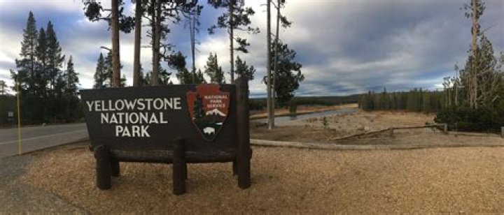 Walter Stone – Adel, GA