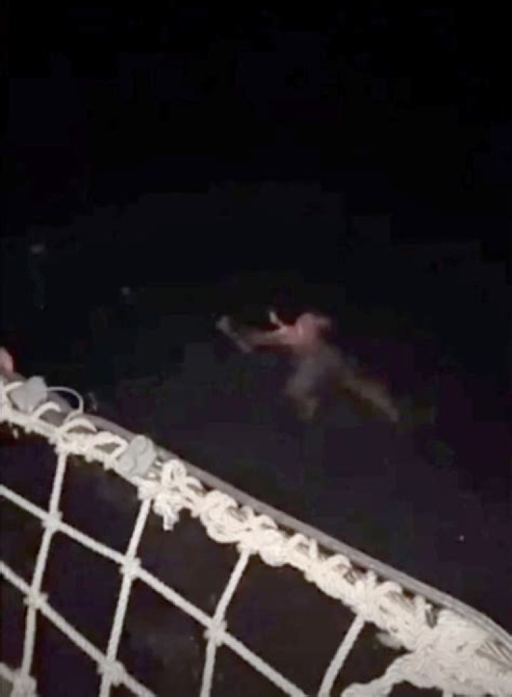 Was Cameron Robbins killed by a shark? Video shows figure in water moments after high school baseball star jumped from cruise