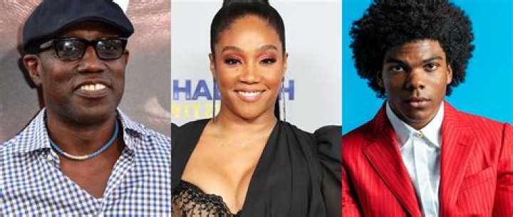 Wesley Snipes And Tiffany Haddish Headlining New High Concept Comedy