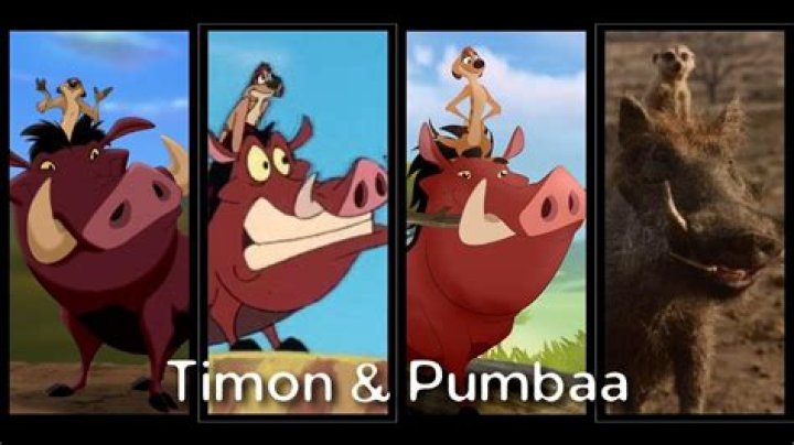 What animal is Pumbaa and Timon? – Celebrity
