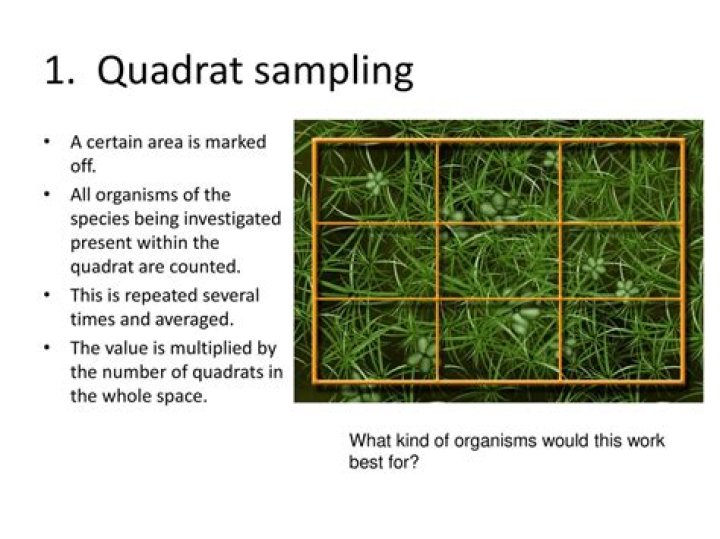 What are the advantages and disadvantages of quadrat sampling