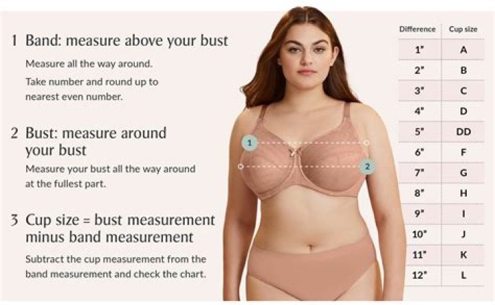 What bra size is Lily Collins?