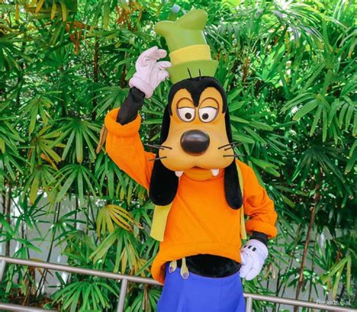 What breed of dog is Goofy from Mickey Mouse? – Celebrity