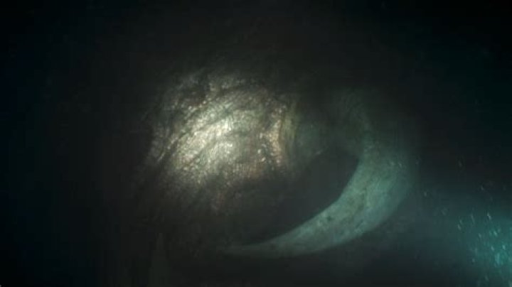 What creature is in the Living Waters beneath The Mines of Mandalore in ‘The Mandalorian?’