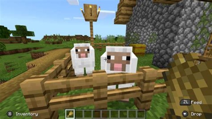 What Do Sheep Eat In Minecraft?