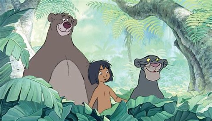 What does Baloo call Mowgli? – Celebrity