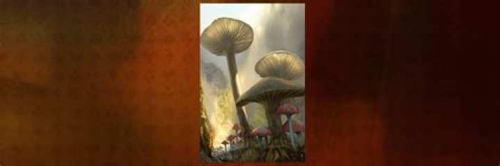 What does the mushroom symbolize in Alice in Wonderland? – Celebrity