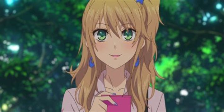 What is a cour in anime