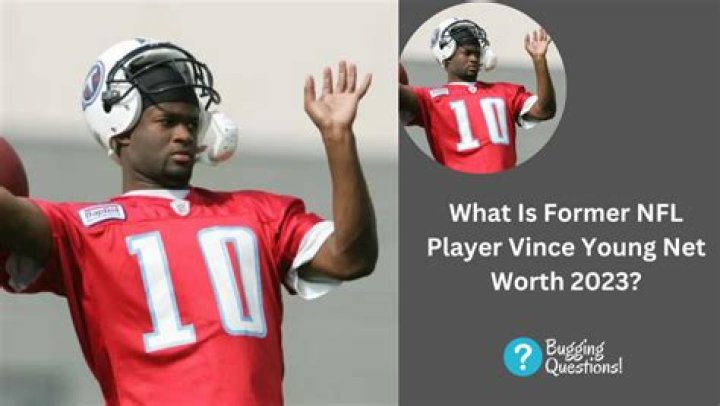 What Is Former NFL Player Vince Young Net Worth 2023?
