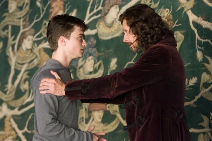 What is the Veil in ‘Harry Potter and the Order of the Phoenix?’