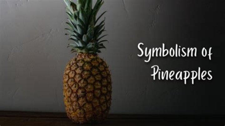 What Pineapple Means In Slang? – Celebrity