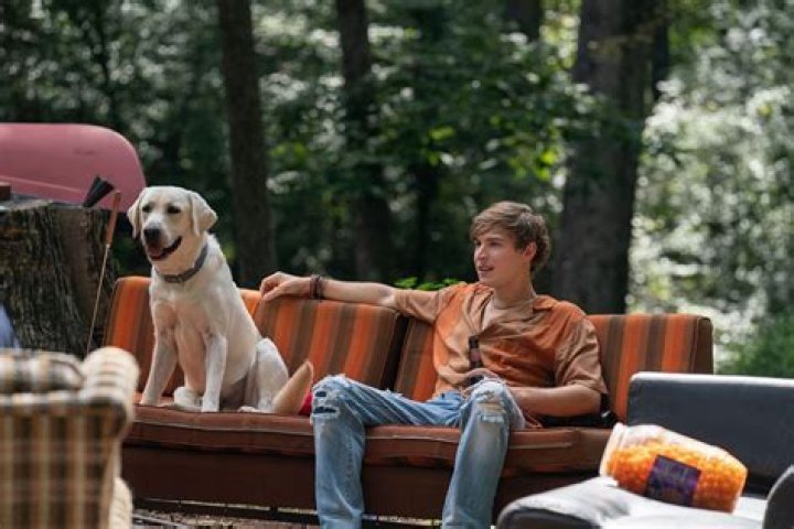 
What time will Dog Gone air on Netflix? Release date, plot, and more details about Rob Lowe’s drama film 