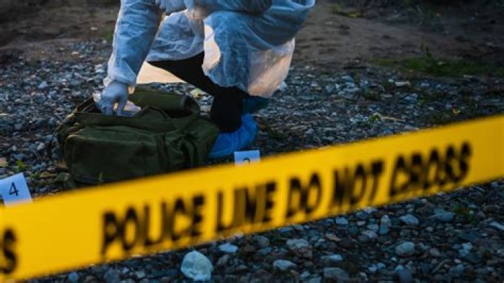 What was Hank Williams net worth at the time of death?