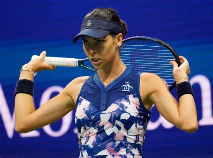 When did Ajla Tomljanović turn pro? How many titles has Ajla Tomljanović won? What is Ajla Tomljanović rank?