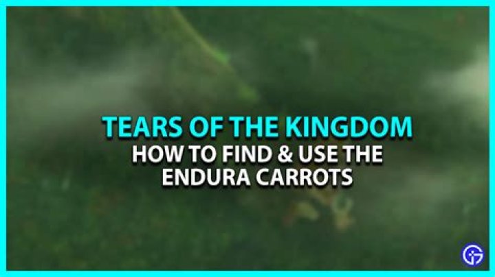 Where to find endura carrots