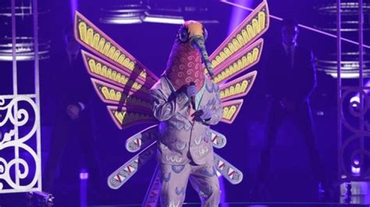 Who could be the Hummingbird on ‘The Masked Singer’ season 8?