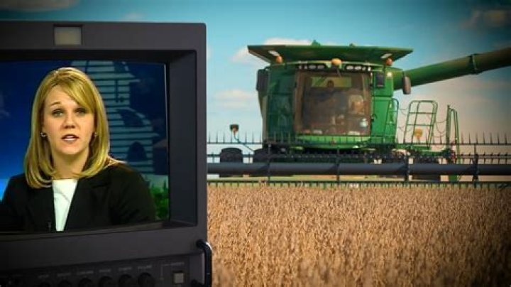 Who is Dawn Farmer? dawnnfarmer Tiktok And Facts To Know