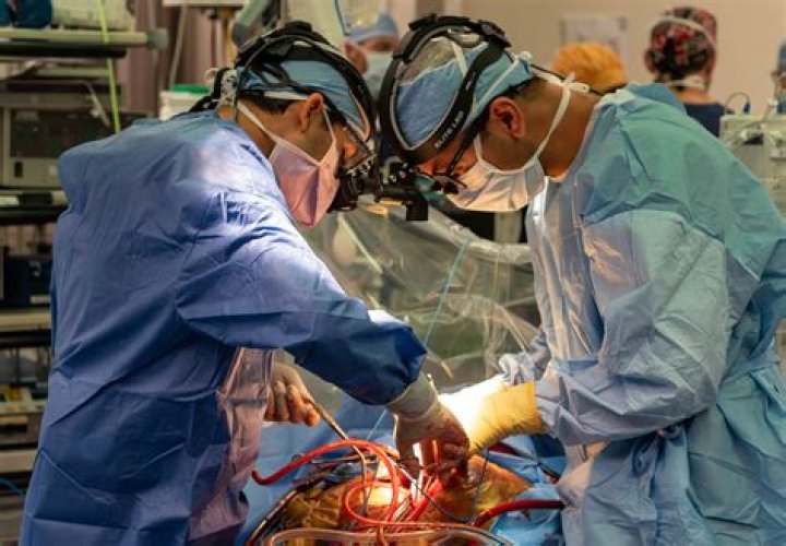 
Who Is Dr Shripal Doshi Mumbai? What To Know About The Cardiothoracic Surgeon 