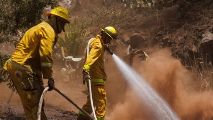Who is M Kaleo Manuel? Hawaiian official slammed over delaying water release for Maui fires