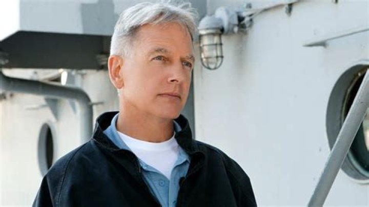 Who is ‘NCIS’ star Mark Harmon’s wife, Pam Dawber?