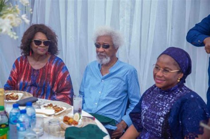 
Wole Brother Femi Soyinka Passed Away, What Happened To Him? 